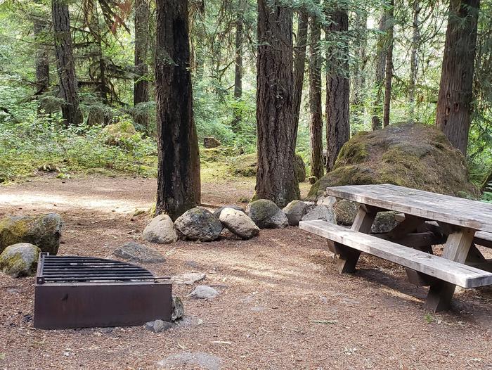 Flat campsite with one picnic table and fire ring.006