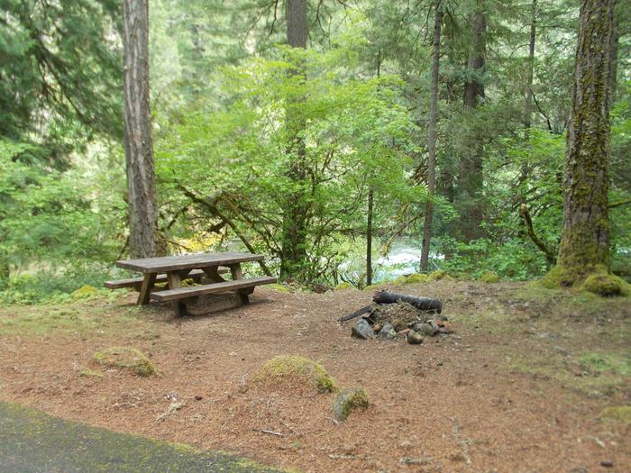Flat campsite with one picnic table and fire ring.010