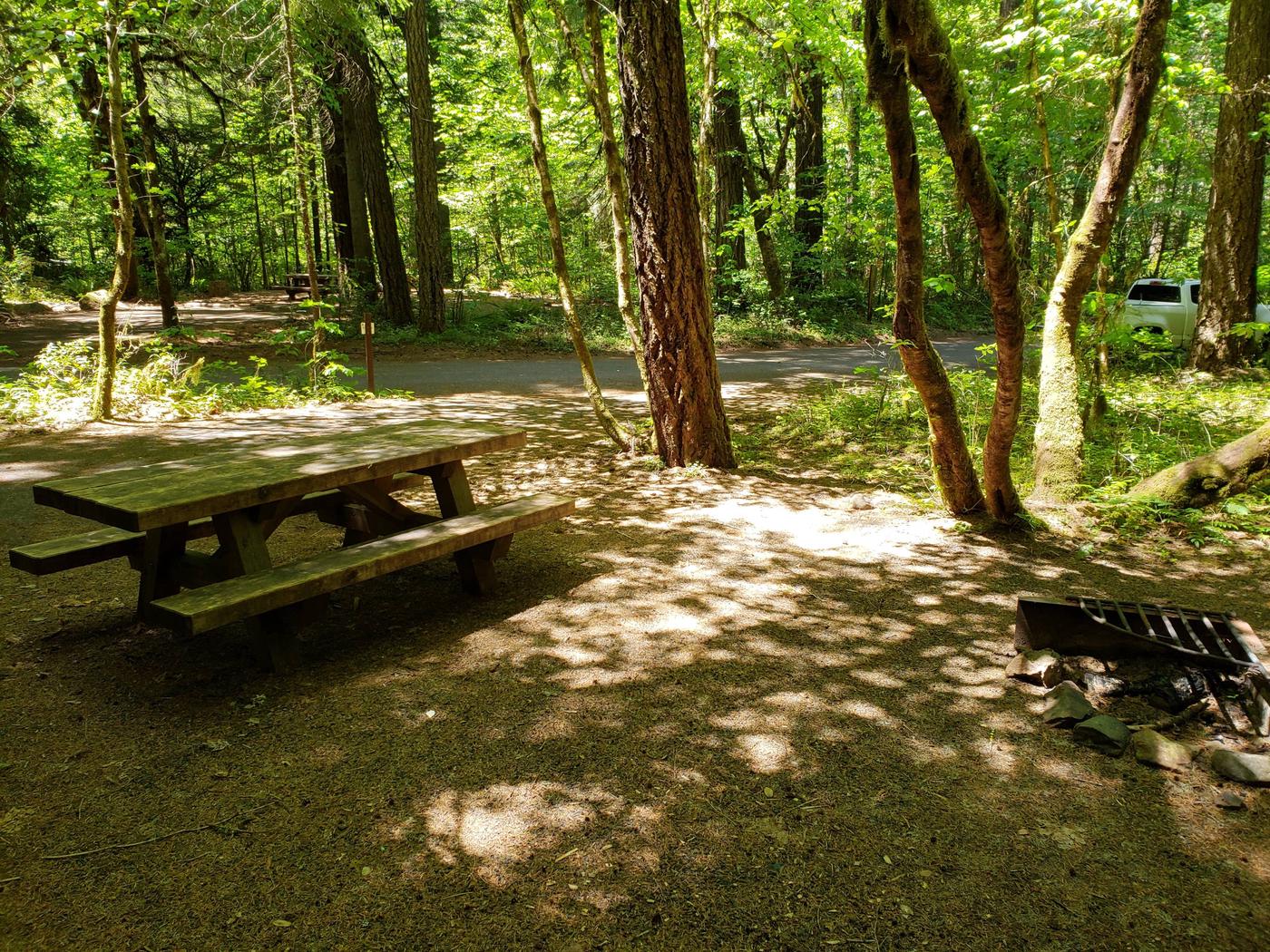 Site 006, Horseshoe Bend Campground (Or) Recreation.gov