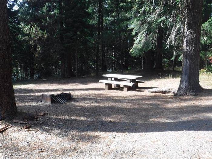Flat campsite with one picnic table and fire ring.001