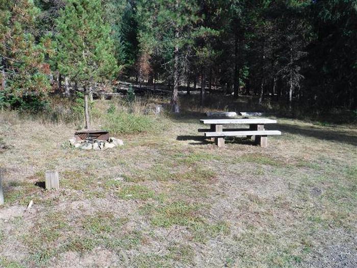 Campsite with one picnic table and fire ring.005