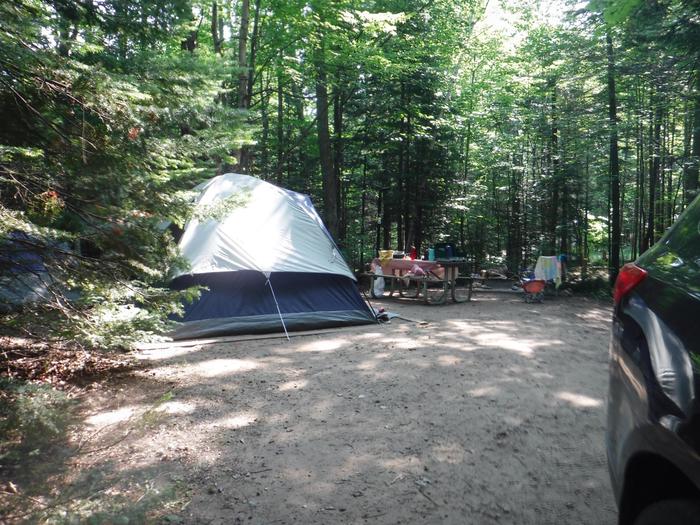 A tent pitched at Hurricane River Campground showing picnic tableHurricane River campsite with tent and picnic table