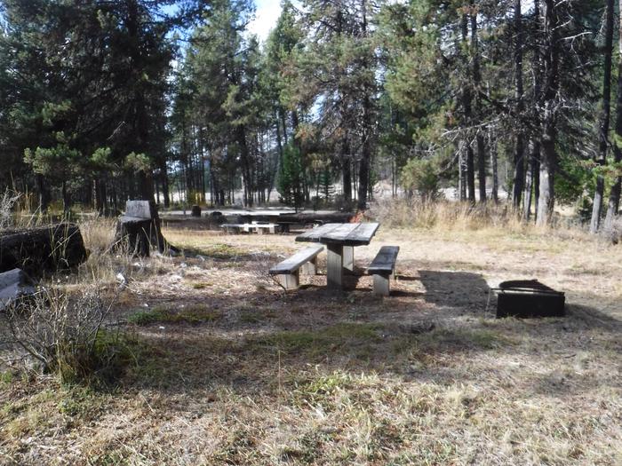Campsite with one picnic table and fire ring.004