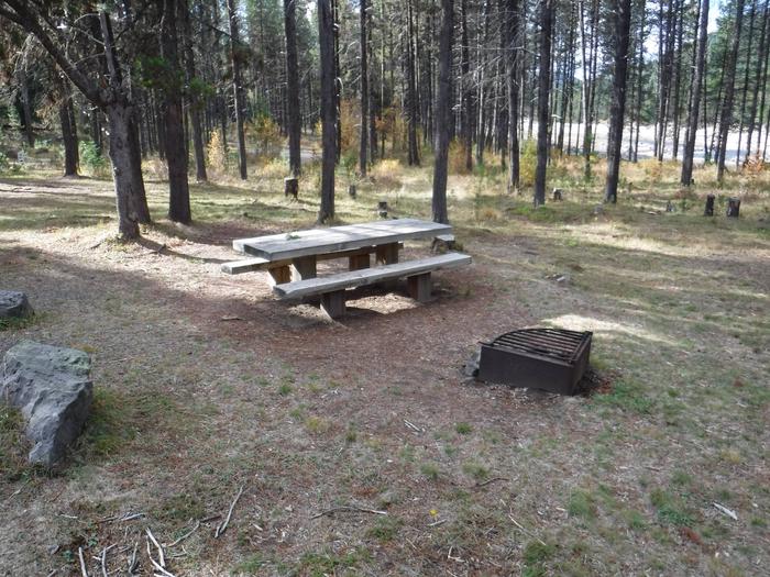 Flat campsite with one picnic table and fire ring.010