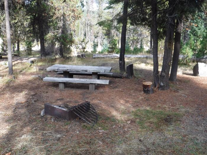Flat campsite with one picnic table and fire ring.012