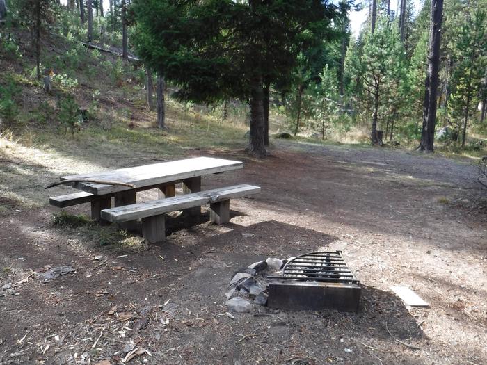 Flat campsite with one picnic table and fire ring.013