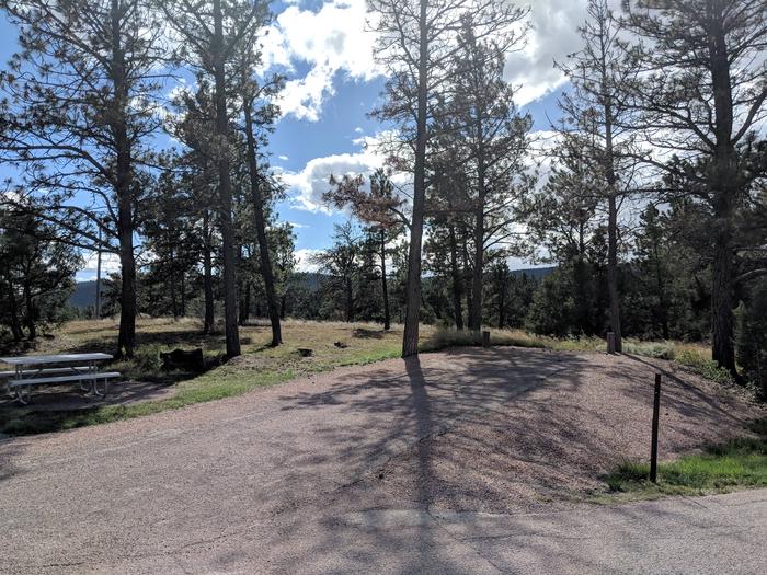 Site 2, Cottonwood Springs Campground - Recreation.gov