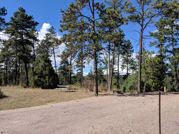 Site 17, Cottonwood Springs Campground - Recreation.gov