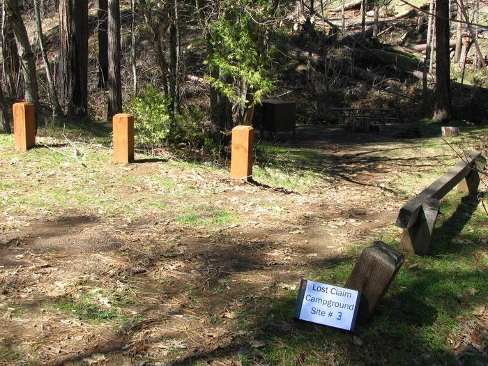 Native surface site with picnic table, fire ring and bear-proof food storage boxLost Claim Campground Site #3