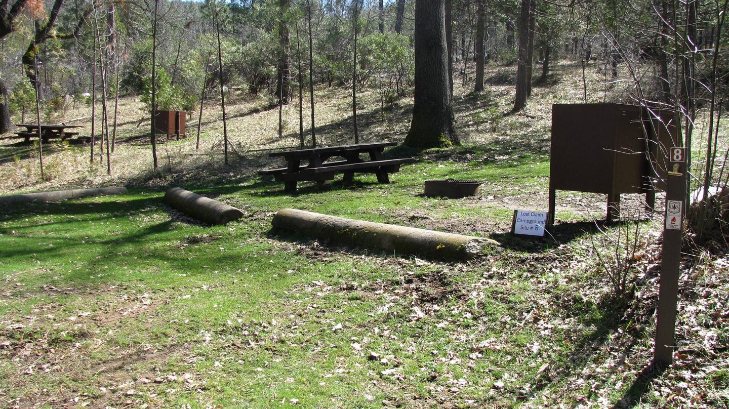 Native surface site with picnic table, fire ring and bear-proof food storage boxLost Claim Campground Site #8
