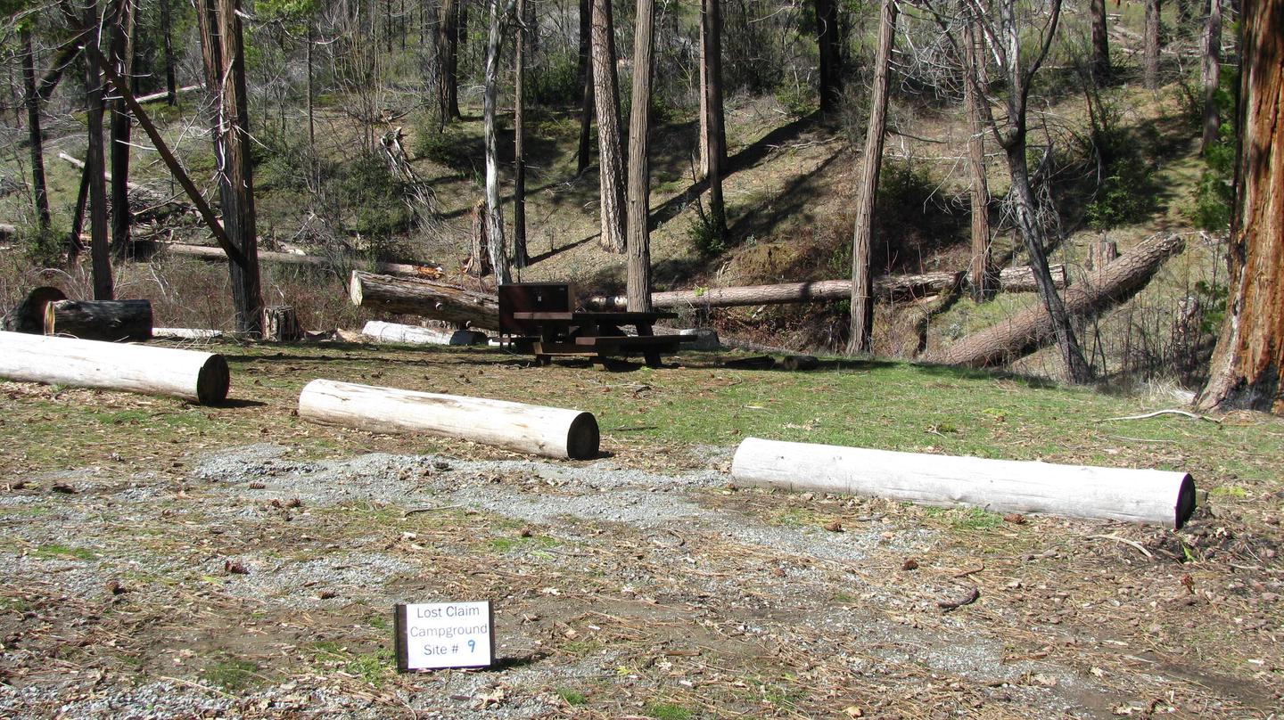 Native surface site with picnic table, fire ring and bear-proof food storage boxLost Claim Campground Site #9