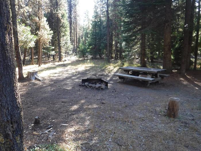Flat campsite with one picnic table and fire ring.005
