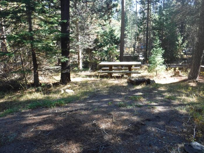 Flat campsite with one picnic table and fire ring.003