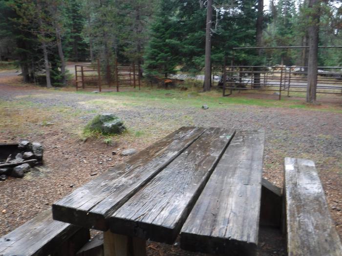 Flat campsite with one picnic table, fire ring and corrals.B3