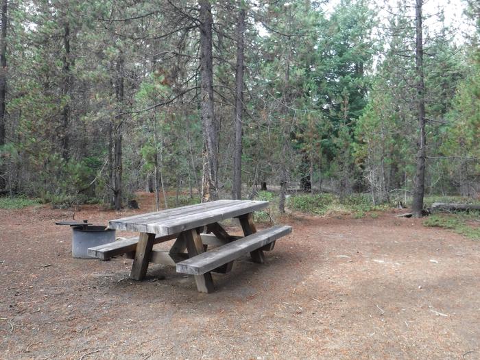 Flat campsite with one picnic table and fire ring.003