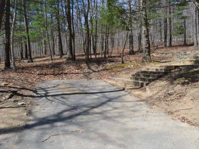 This is a picture of the driveway and steps to Campsite A-8.Access for Campsite A-8