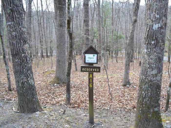 This is a picture of the site marker for Campsite A-16.Site marker for Campsite A-16.