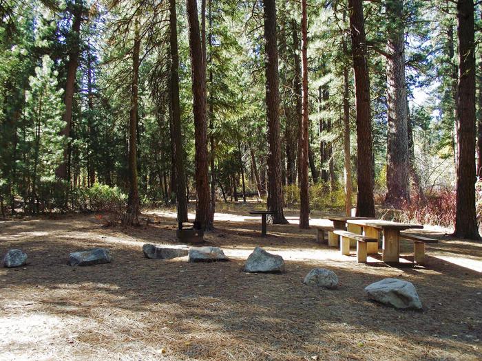Forest trees surround you with shade and sunny areas with two picnic tables, BBQ stand and firepit in this large open space.Dog Creek Campground Site #2