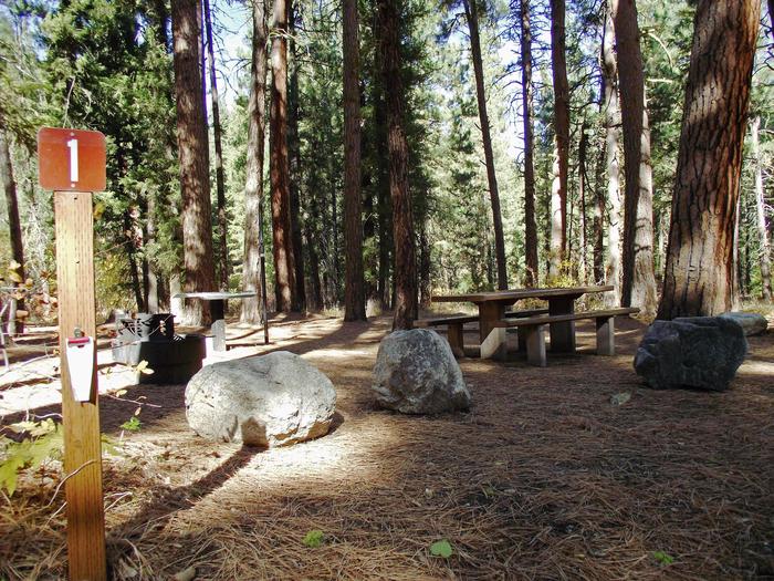 Many pine trees are around you with picnic table, BBQ stand, fire pit, tent pad and lantern holders on site.Dog Creek Campground #1