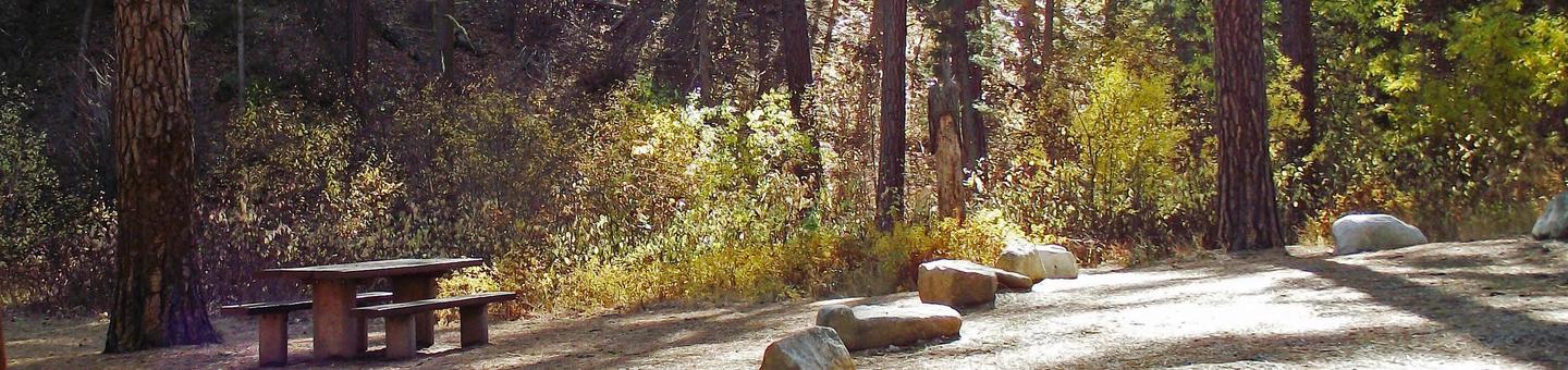 Campsites are amongst the trees and come with picnic table, firepit and BBQ stand, and tent pads in sites with trails nearby for hiking. Dog Creek Campground