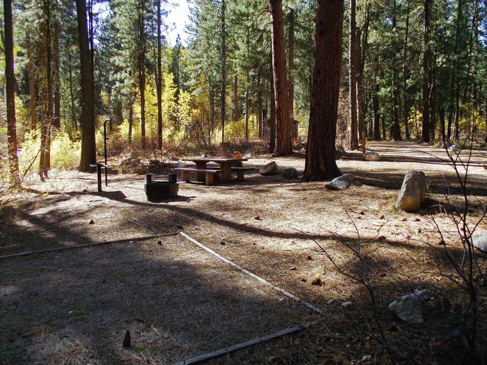 Your picnic table, BBQ stand, firepit, tent pad and lantern holders are in your site while you have pines surrounding you.Dog Creek Campground Site #6