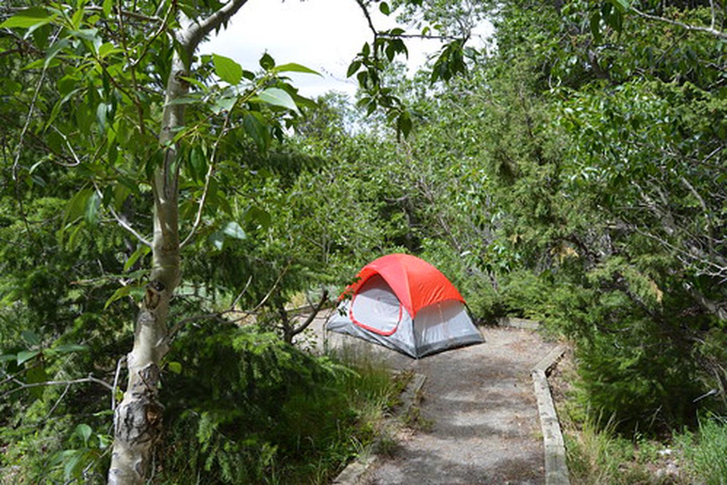Photo of campsite with tent