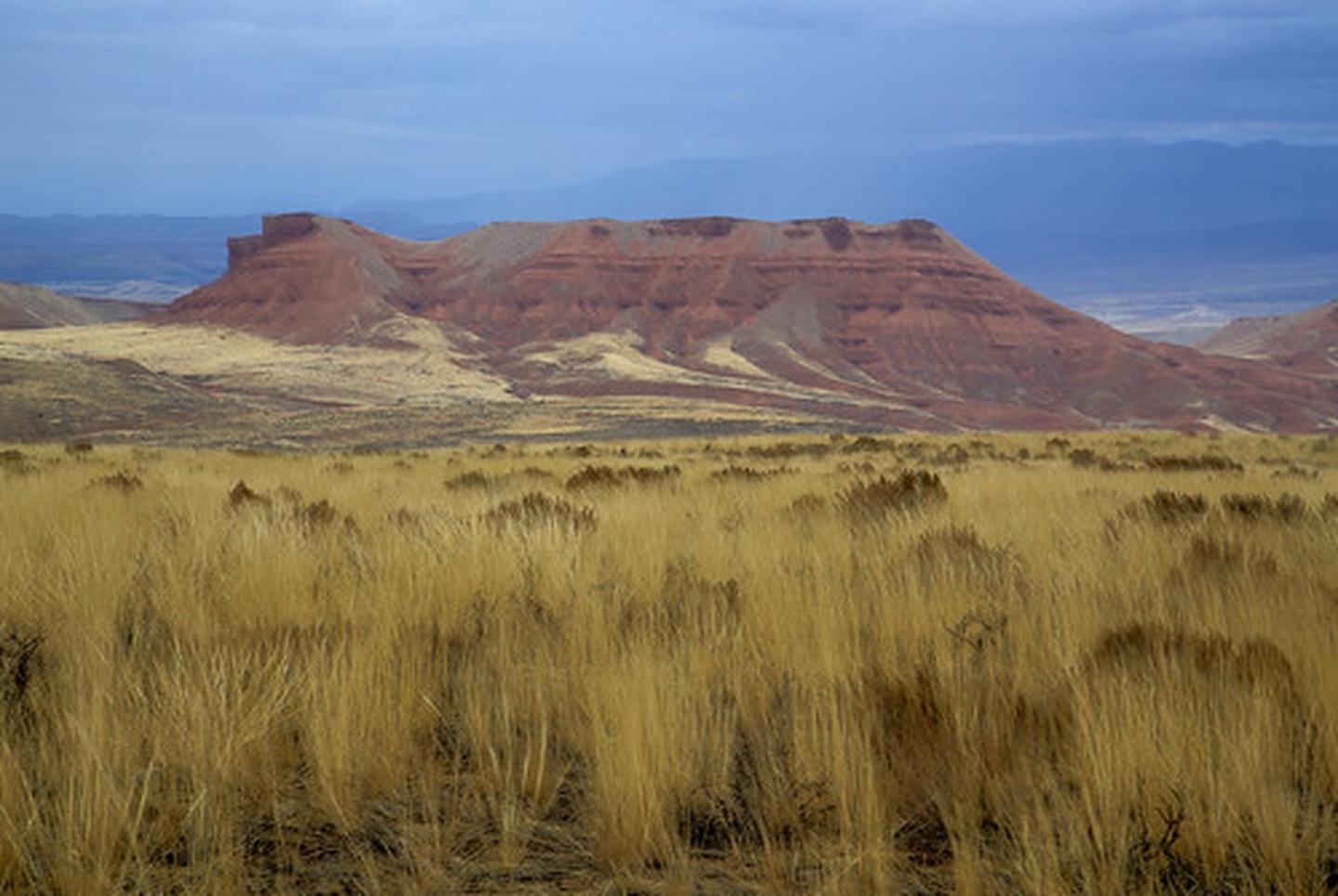 A butte with gold colored grass in the foreground and a stromy sky in the background