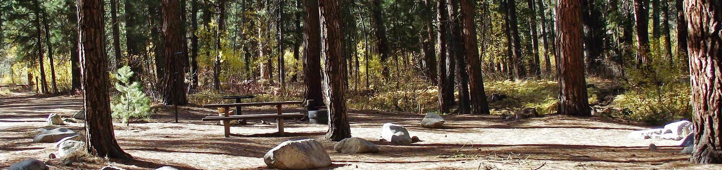Lots of trees surround you while your picnic table, firepit and BBQ stands are near with large parking space available.Dog Creek Campground