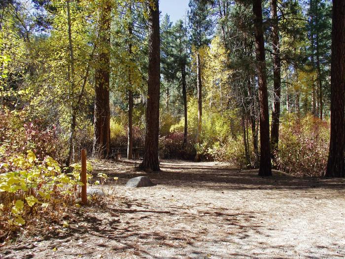 Pine and quaking aspen trees give you shade while you rest in your area with  a picnic table, firepit and BBQ stand.Dog Creek site #9
