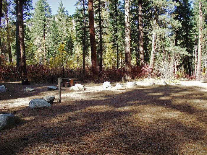 The picnic table, firepit and BBQ stands are amongst great pine trees and lots of shade.Dog Creek Site #12