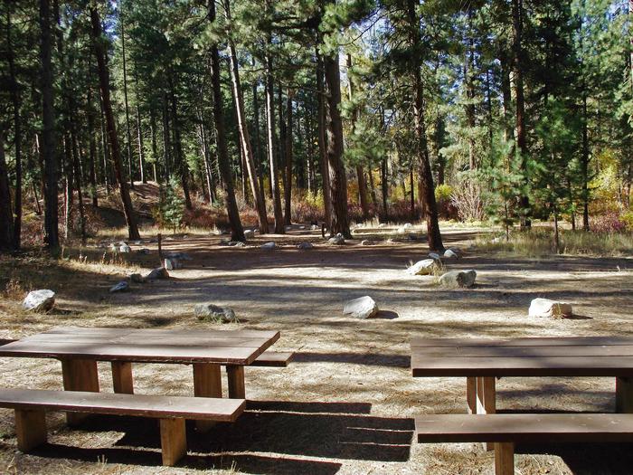 Double picnic tables await you with a firepit and BBQ stands here with lots of trees surrounding you and large open space.Dog Creed Site #13
