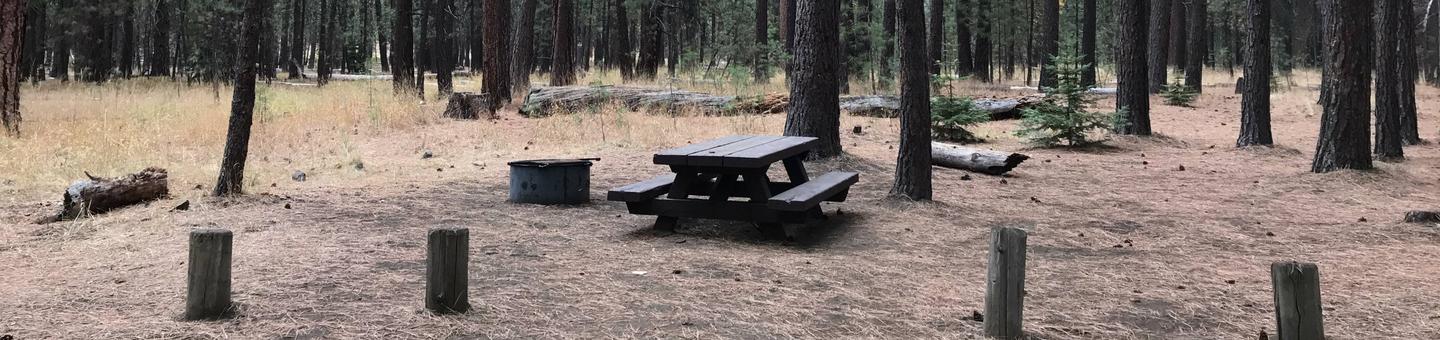 Cold Springs Campground #11