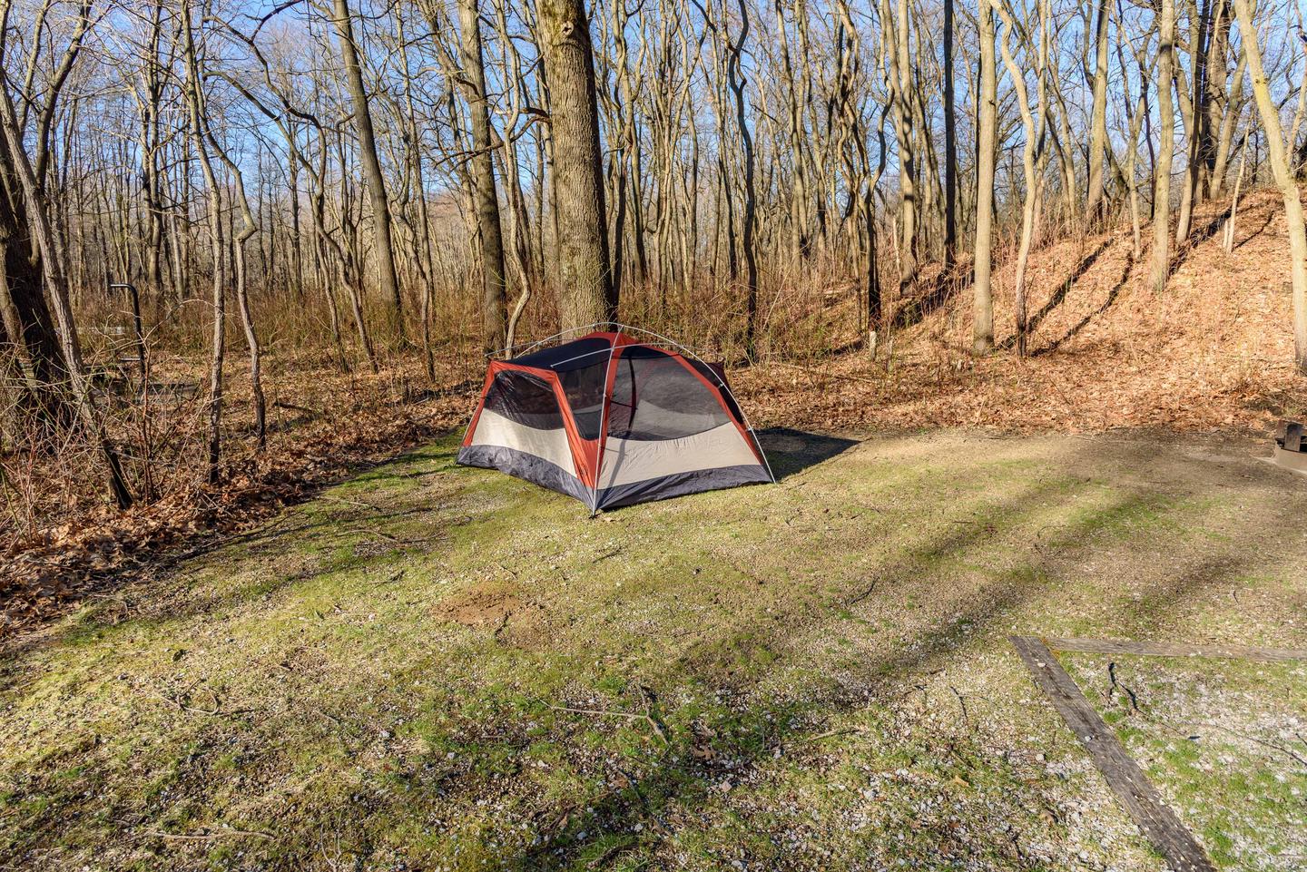 46 foot driveway with nice shaded tent pad.Campsite M3