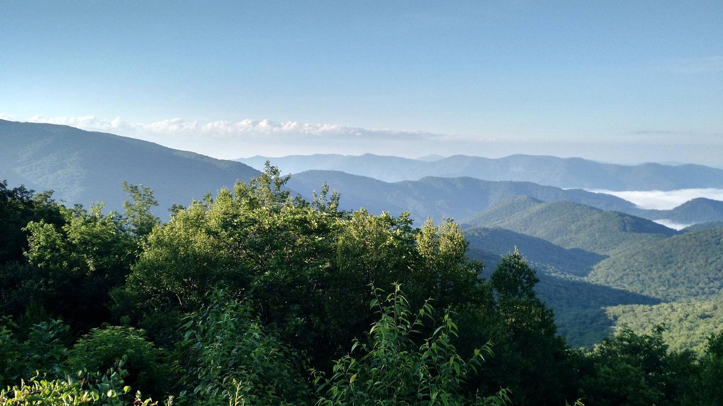 Scenic Pisgah Forest