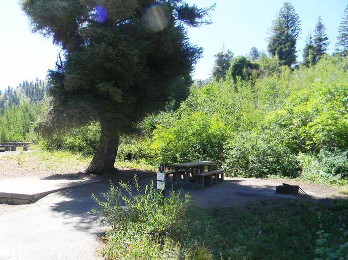 Campsites have gravel walkways, picnic table, fire pit, and tent pads with shade and surrounded by green vegetation.Shafer Butte Campground