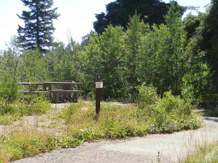 Your site is nestled amongst pine and aspen trees with picnic tables, fire pit and tent pads with hicking and biking nearby.Shafer Butte Site #12