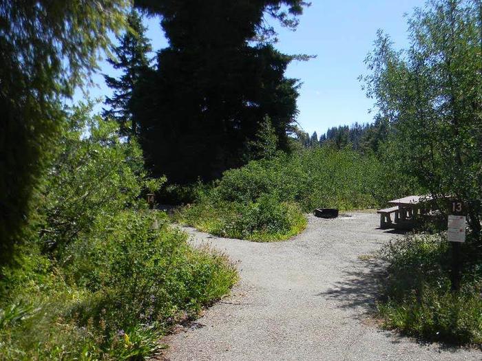 Pine and aspen trees surround your site that has a picnic table, fire pit and tent pad with hiking and biking close by.Shafer Butte Site #13