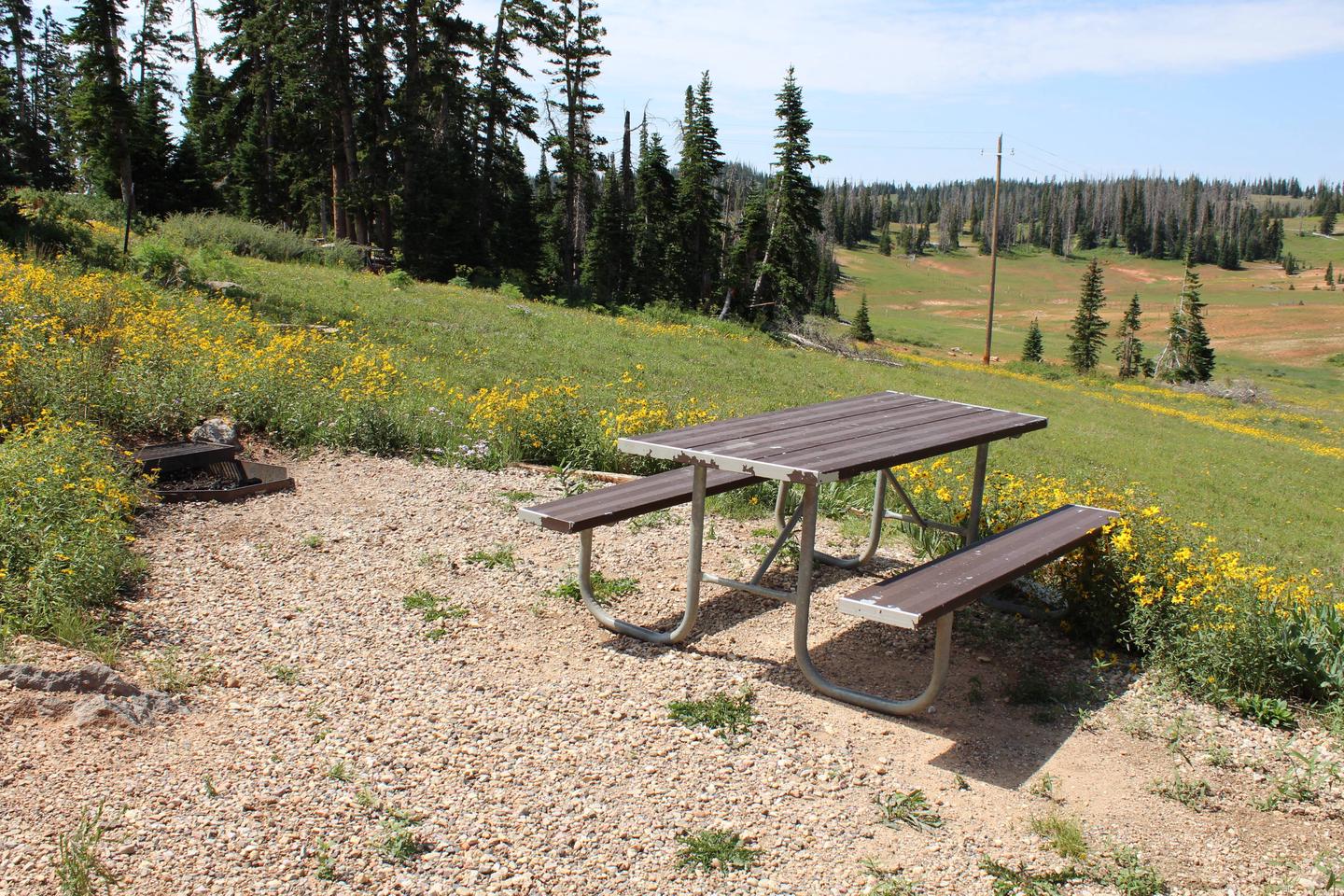 Site 1: View of picnic table and fire pit. 