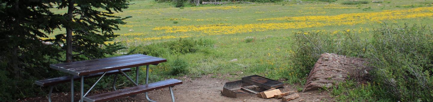 Site 3: Table and fire-pit.