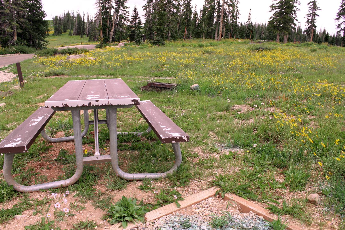 Site 4: Table and fire pit. 