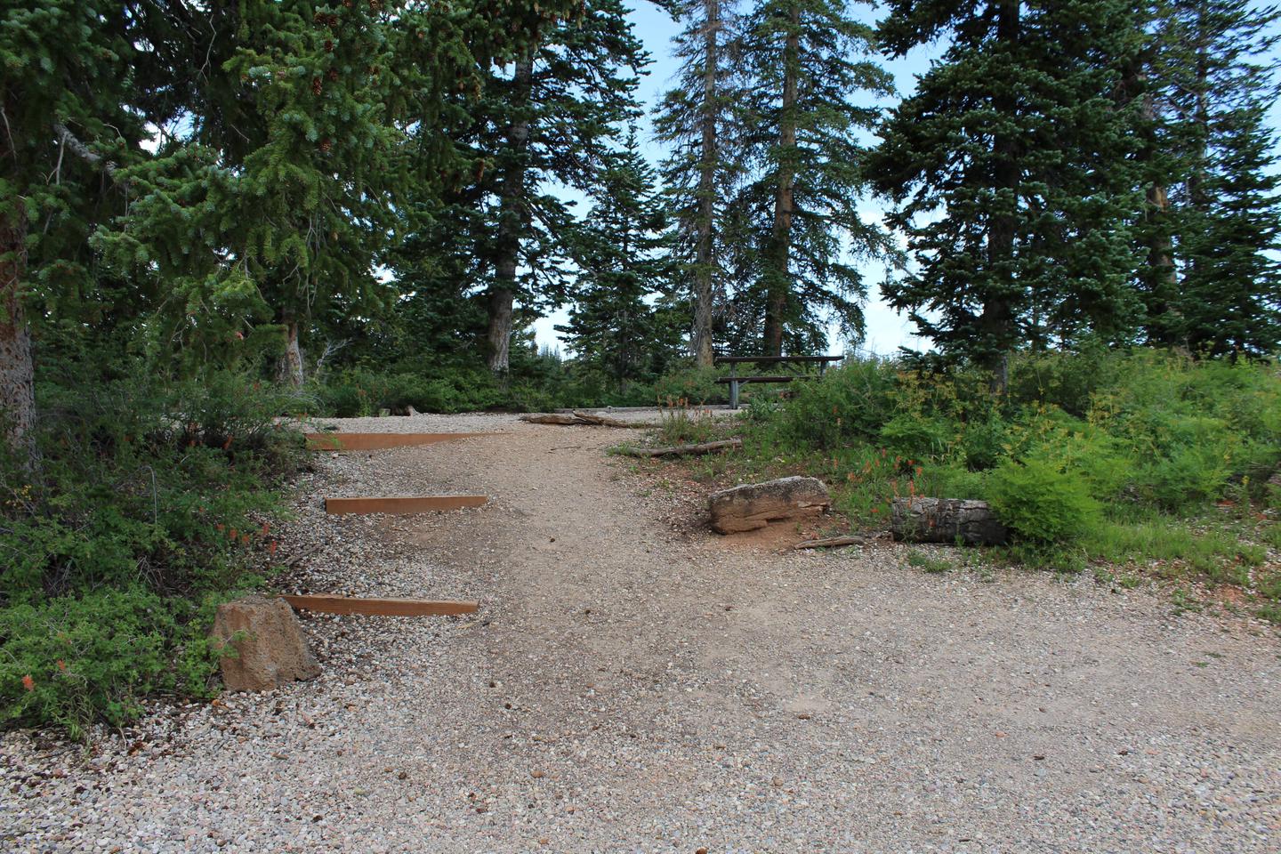Site 18: Path to fire pit, table and tent pad. 