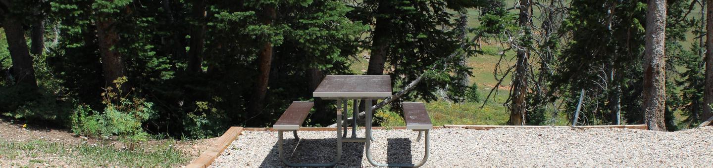Site 19: Table and view overlooking meadow. 