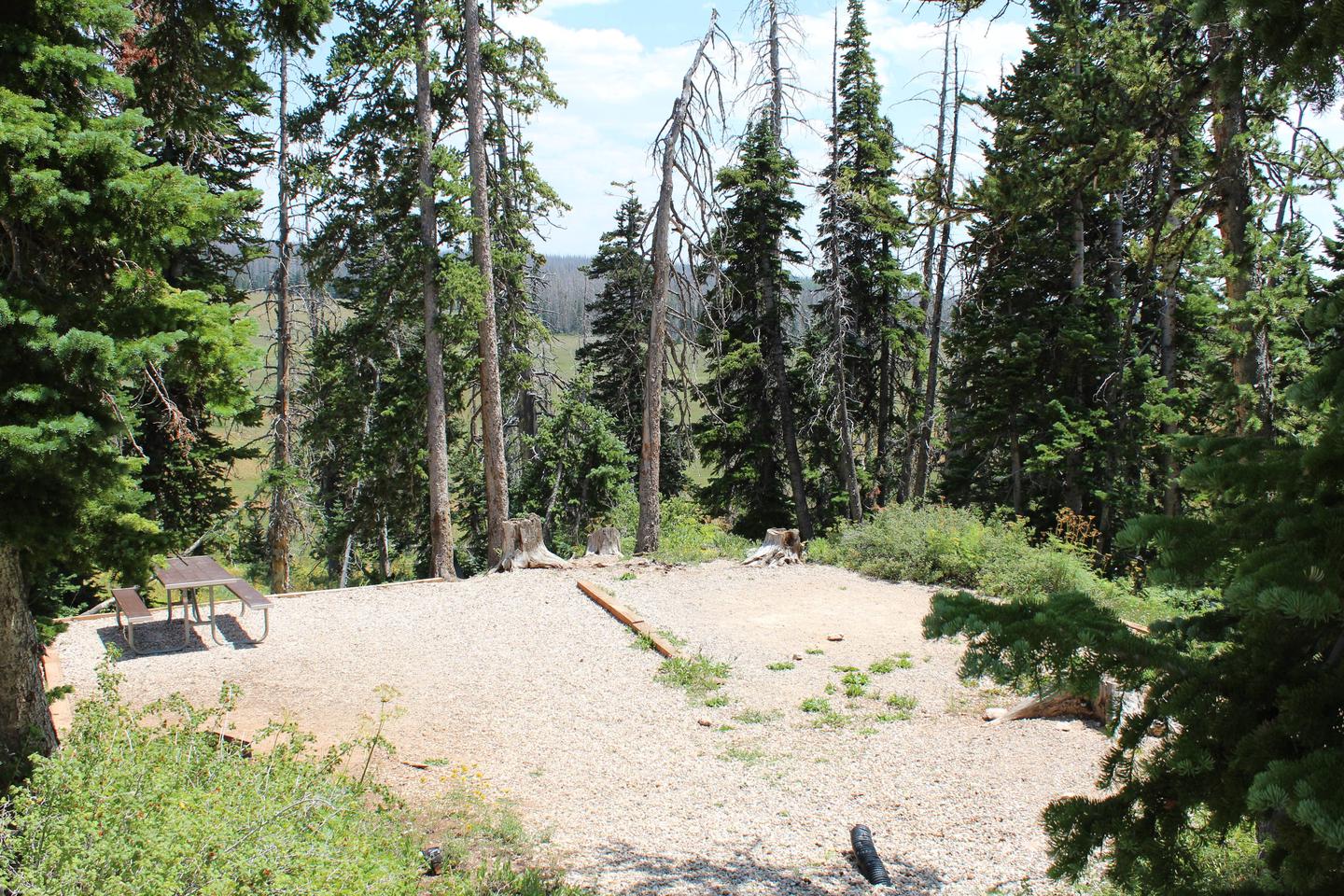 Site 19: Table, fire pit, tent pad, view of meadow. 