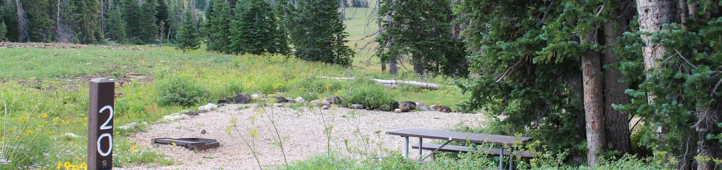 Site 20: Tent pad, table, fire-pit. 