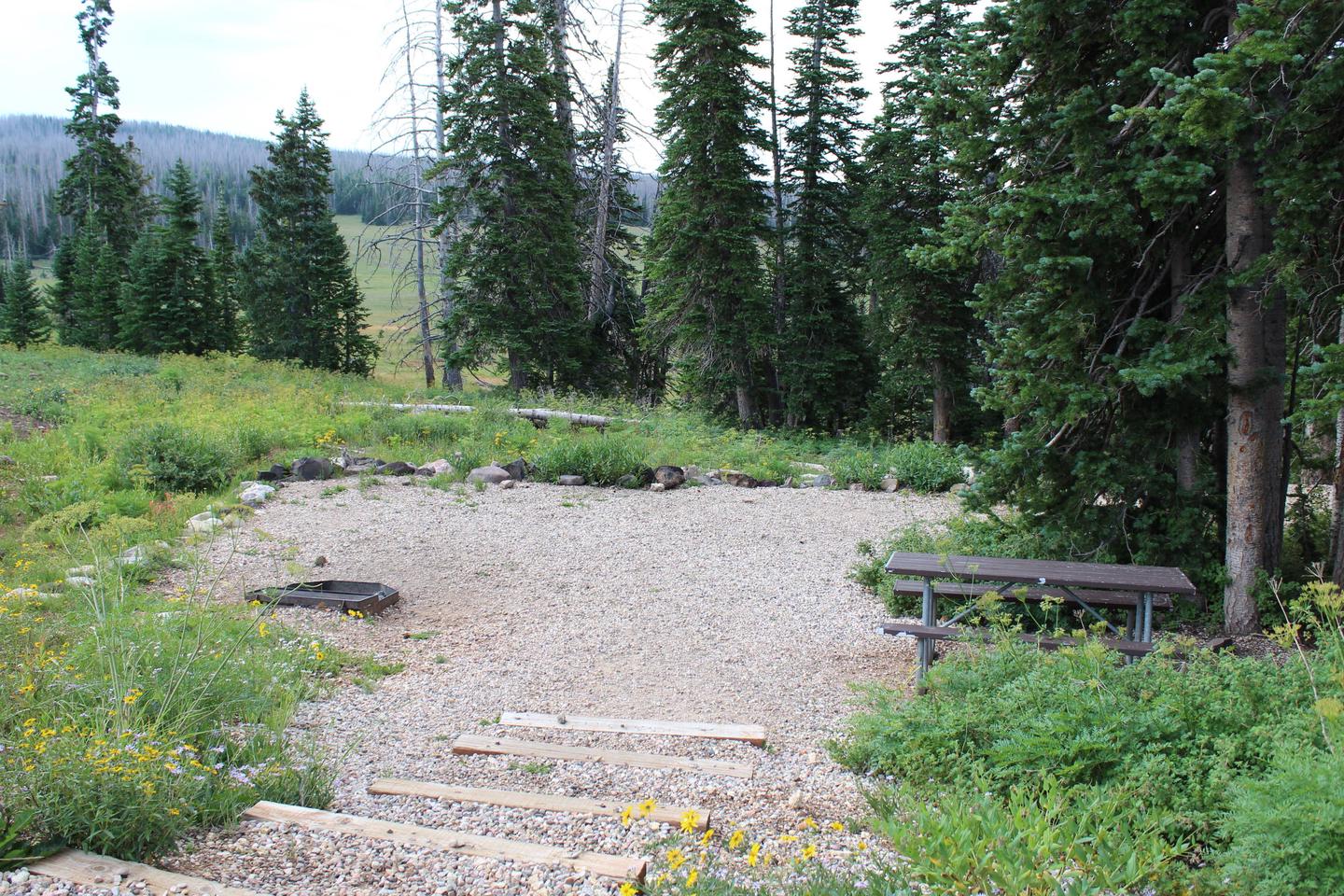 Site 20: Tent pad, table, fire-pit.Site 20: Tent pad, table, fire-pit. 