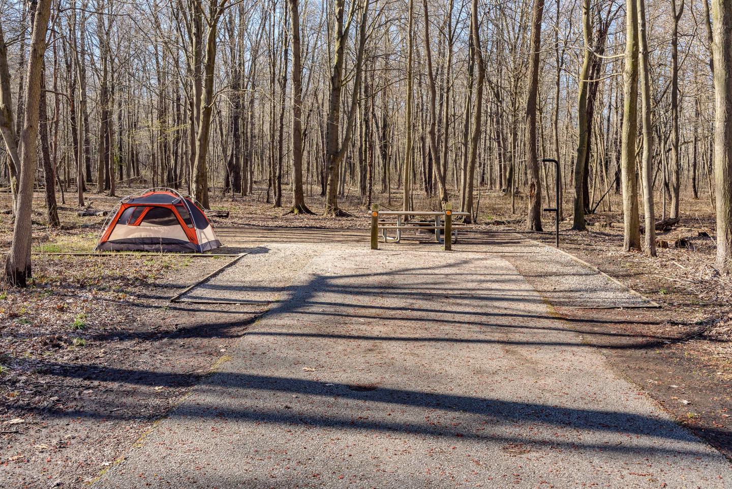 52 foot driveway with nice shaded tent pad.Campsite M29