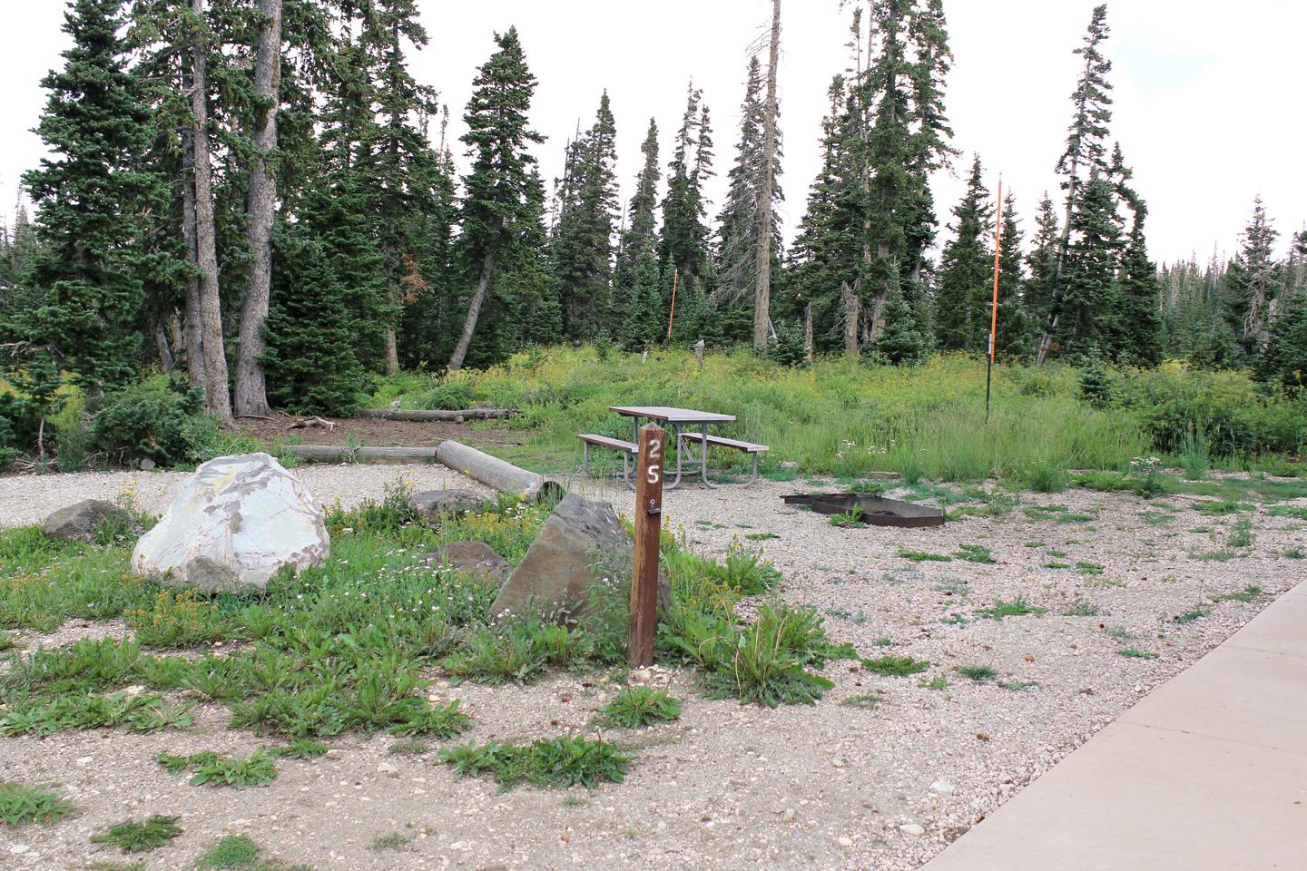 Site 25: Parking area, fire pit, table, tent pad and adjacent walking path to Sunset Trail