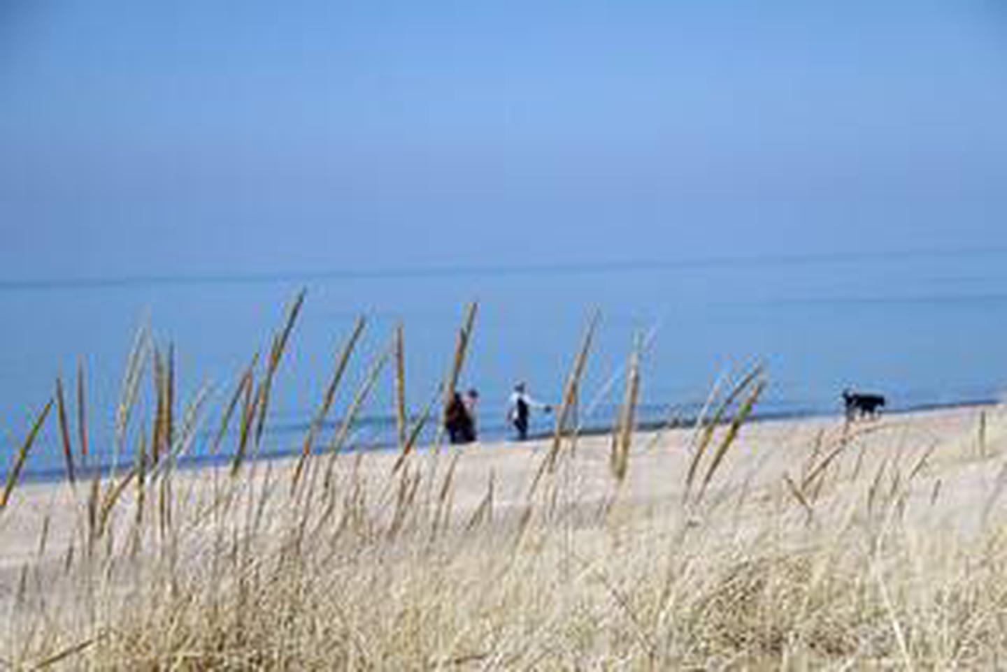 Dunbar Beach in Indiana Dunes National Lakeshore.