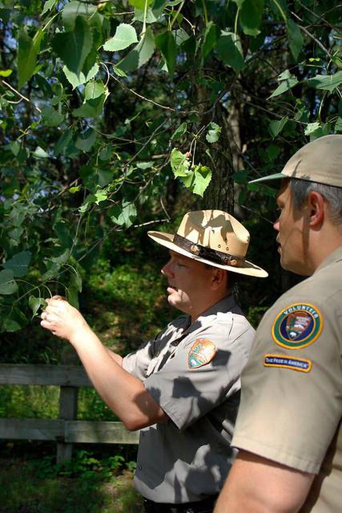 Park Ranger and Volunteer working in the park in Indiana Dunes National Park.