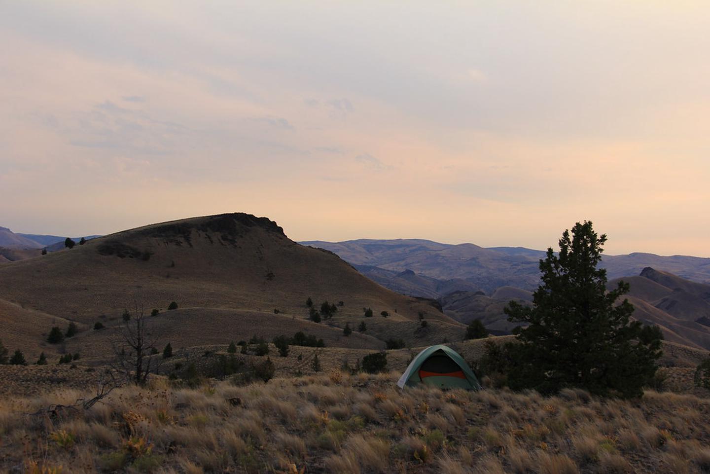 Spring Basin Camp View